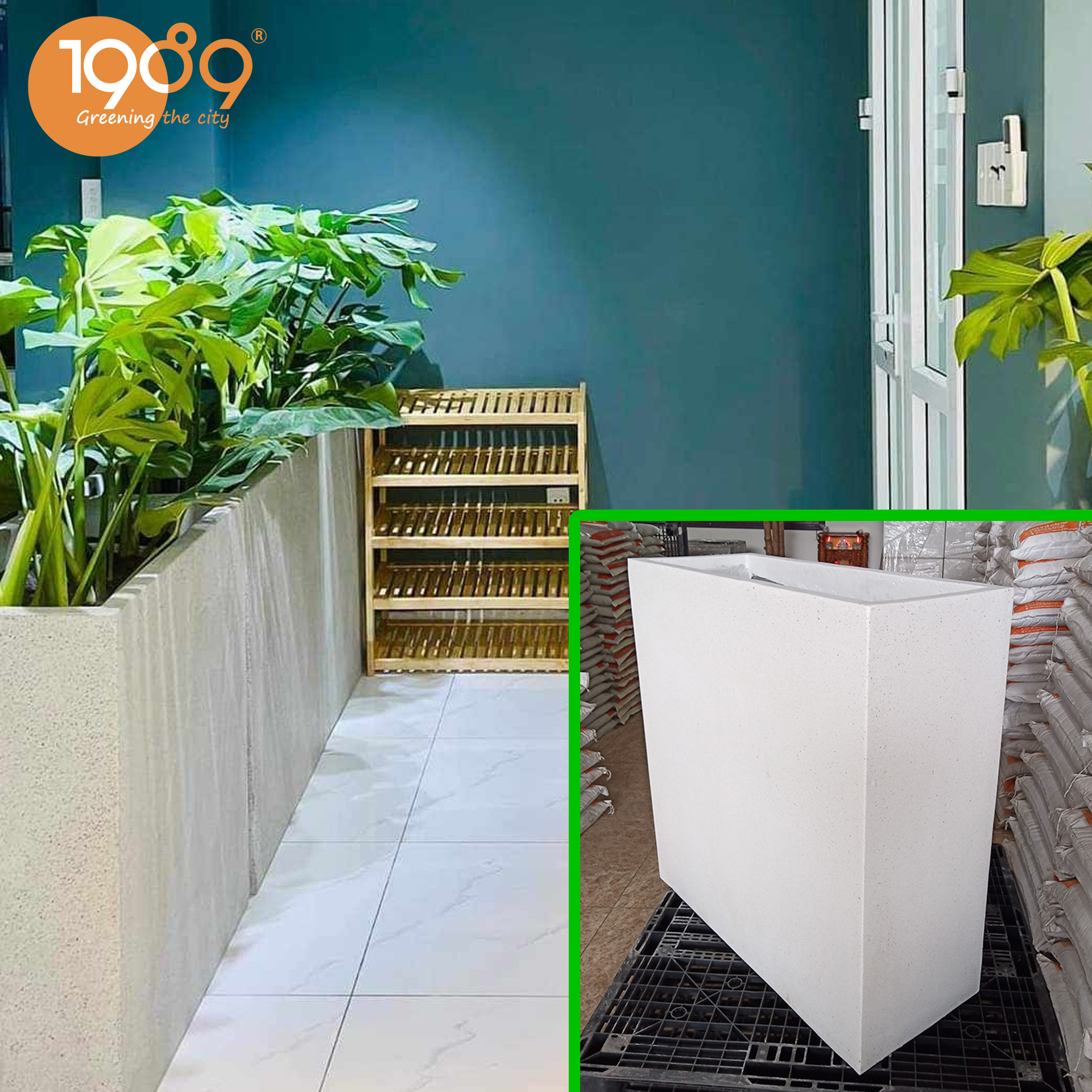 châu cảnh đá mài được yêu thích