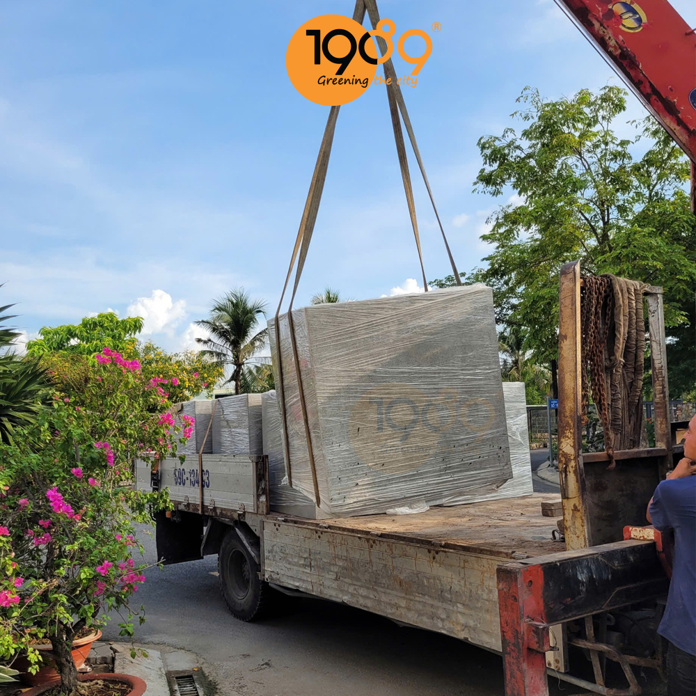 Bộ Sưu Tập Chậu Xi Măng Đá Mài 2025