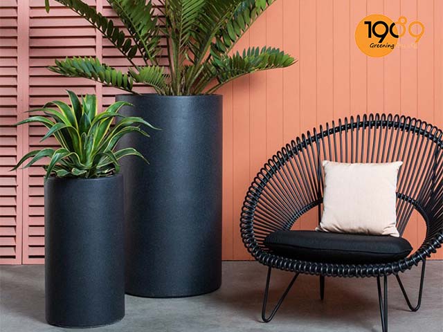 chau xi mang da mai trong tru mau den hcm