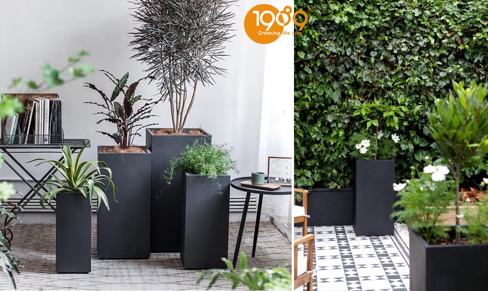 chậu xi măng đá mài trụ vuông đẹp 30x60cm, 40x60cm, 40x80cm