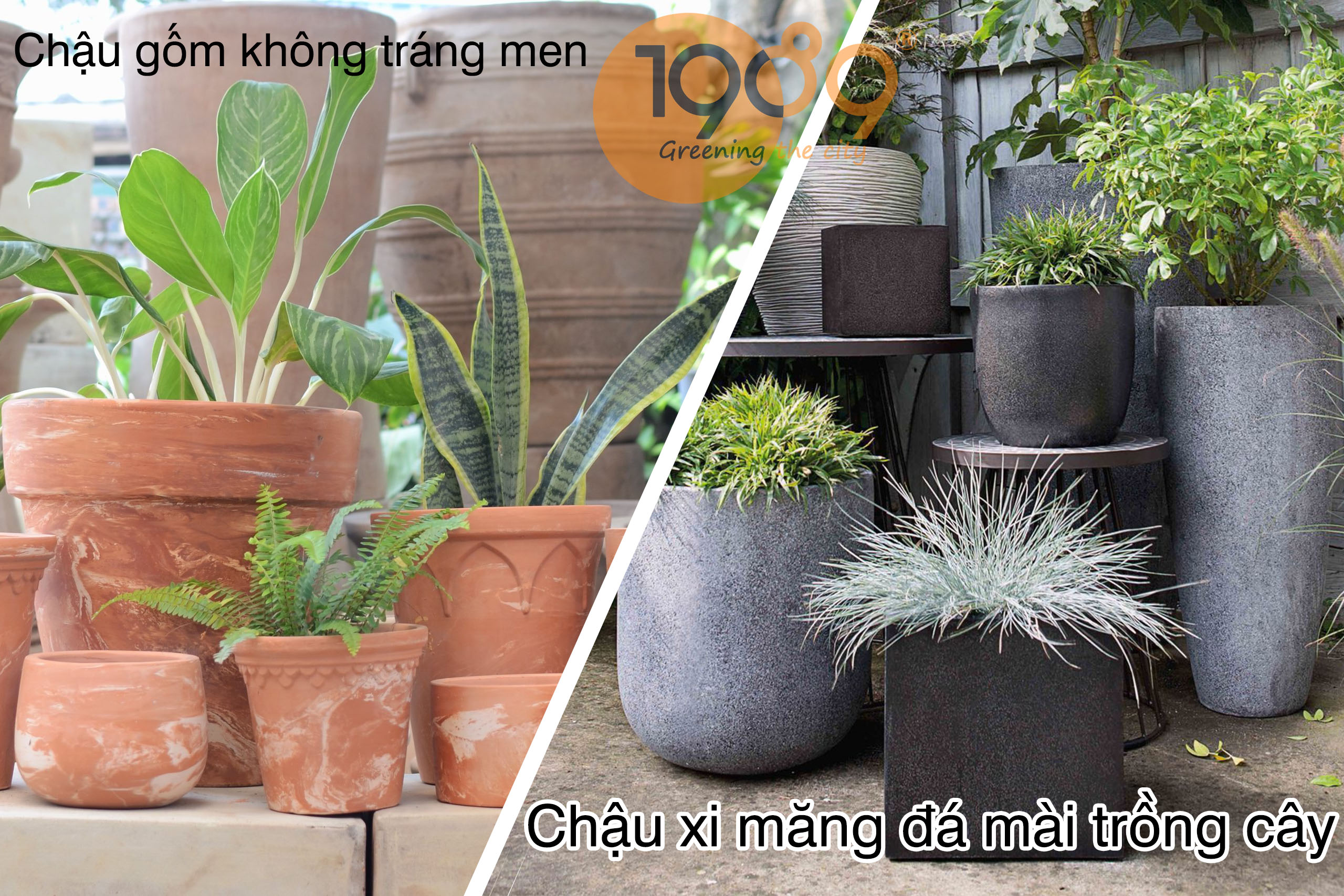 So sánh chậu xi măng đá mài và chậu gốm