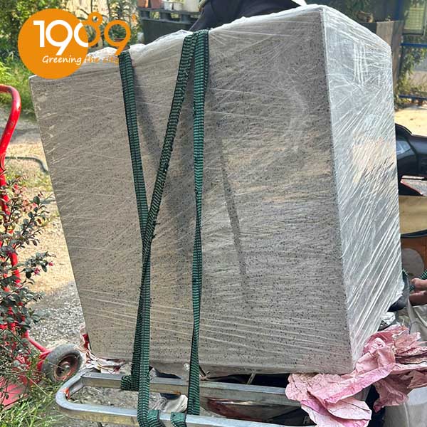 chậu xi măng đá mài vuông 60cm giá rẻ Sài gòn