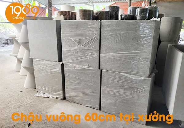 chậu xi măng đá mài vuông 60cm giá rẻ Sài gòn