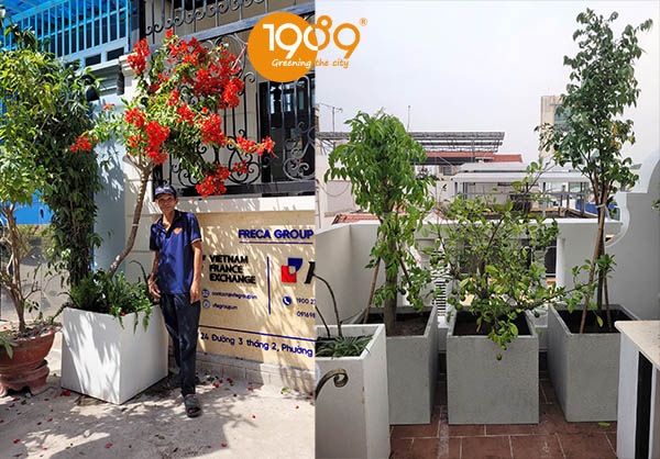 chậu xi măng đá mài vuông 60cm giá rẻ Sài gòn