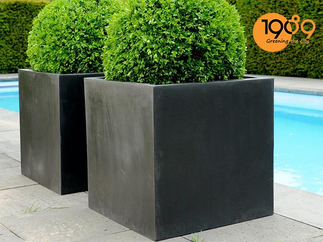 Chậu đá mài lớn vuông 80cm