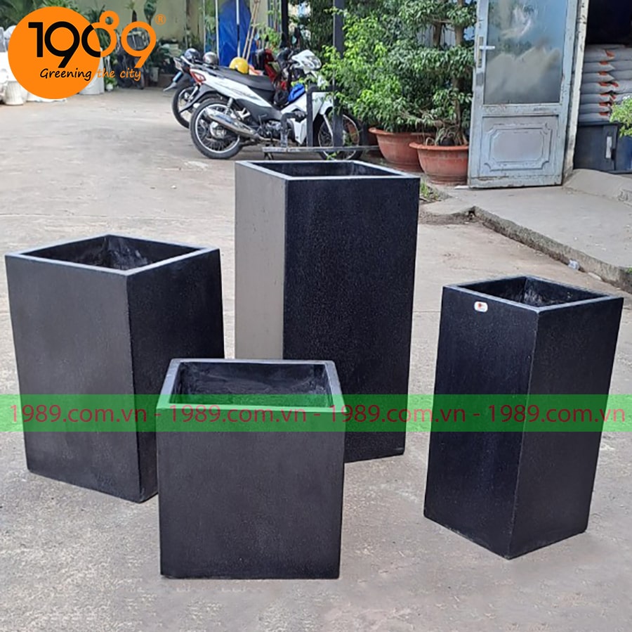 chau xi mang da mai vuong tru gia re tai sg 9