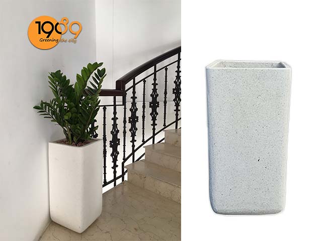 chậu xi măng đá mài vuông trụ bo màu trắng