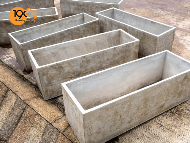 Chậu xi măng dễ dơ bẩn