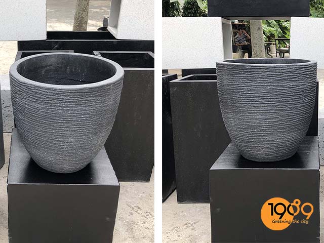 chậu xi măng đen galaxy