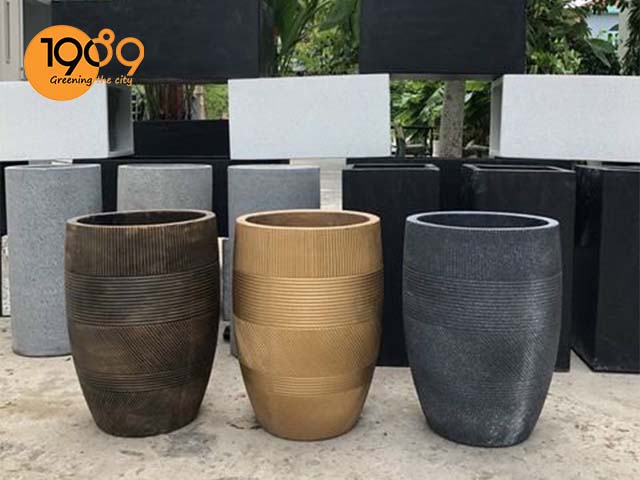 chậu xi măng lớn venus