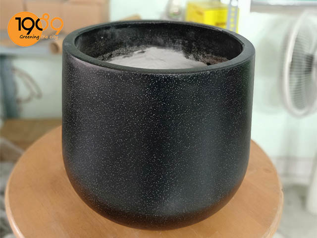 chậu xi măng tròn chậu remy a