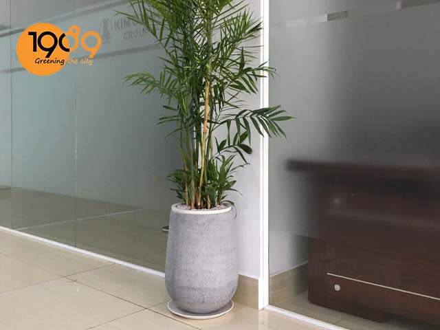 chậu xi măng tròn đá mài giọt nước