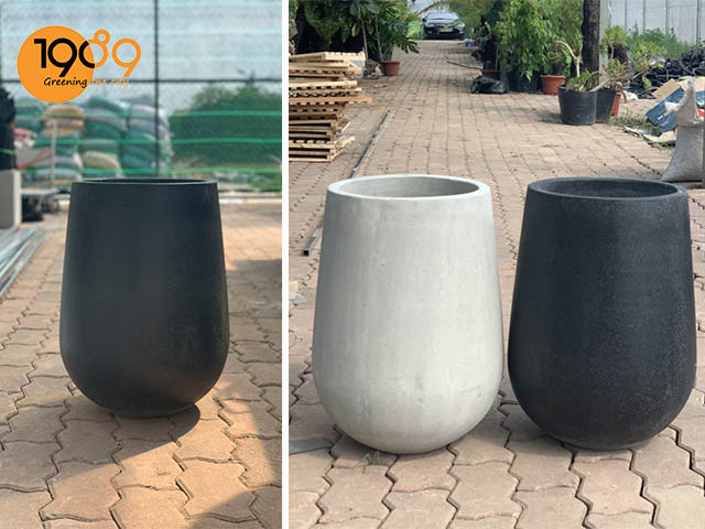 chậu xi măng tròn lớn