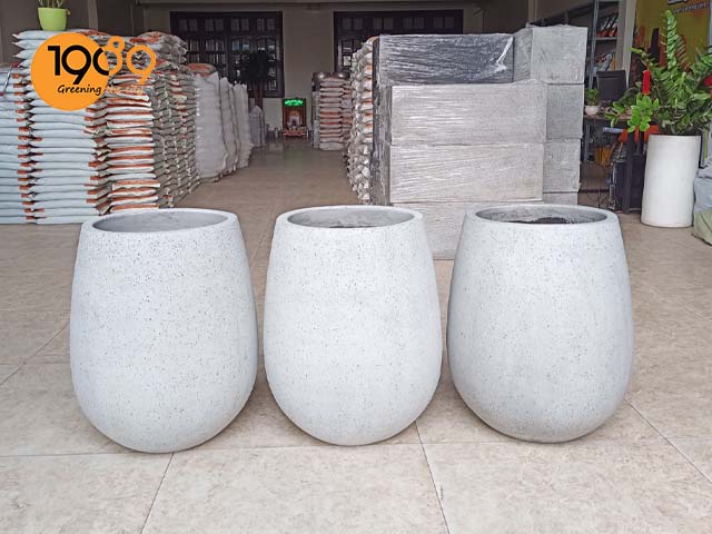 chau xi mang tron oval chong tham