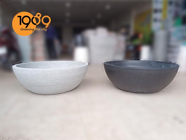 chậu xi măng trồng hoa sen hoa súng lotus