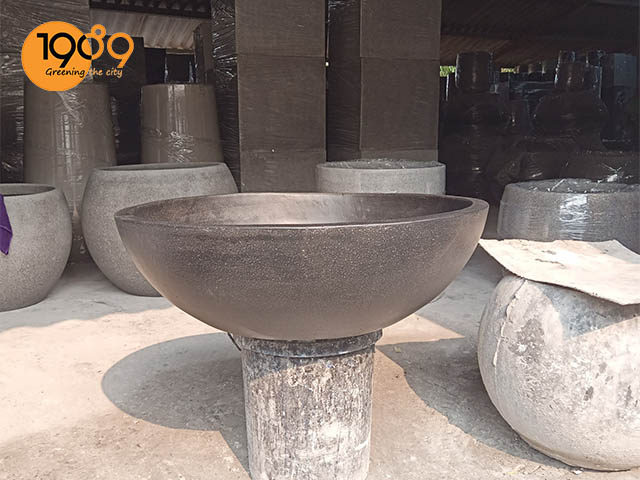 chậu xi măng trồng sen