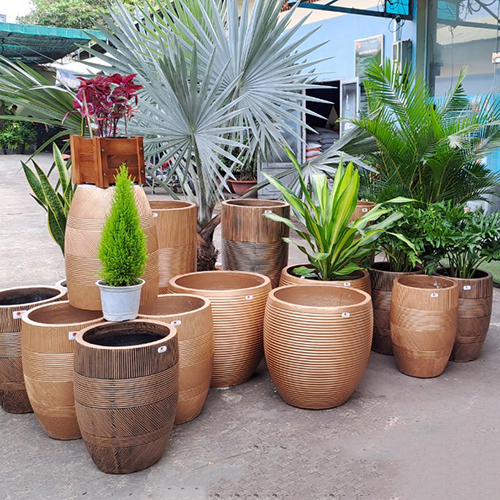 Chậu Đá Mài Phong Thủy Theo Mệnh