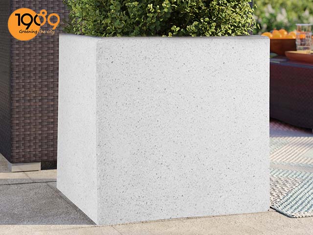 chậu xi măng vuông 1m trồng hoa hồng lớn