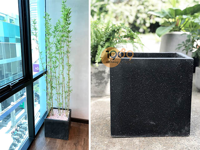 chậu xi măng vuông Q12