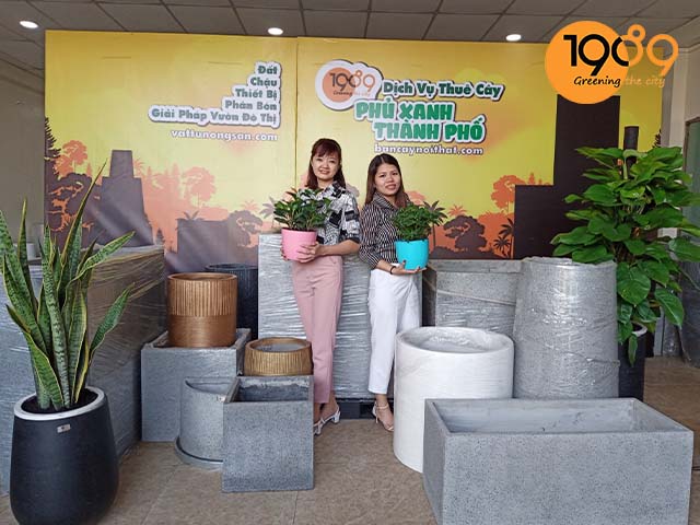 chậu xi măng xuất khẩu giá rẻ hcm