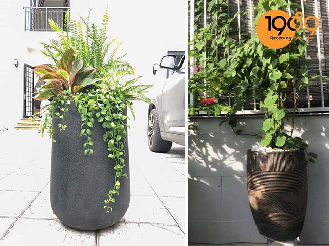 chậu xi măng xuất khẩu 1989 hcm