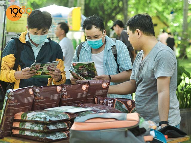 chia sẻ về trầu bà nam mỹ