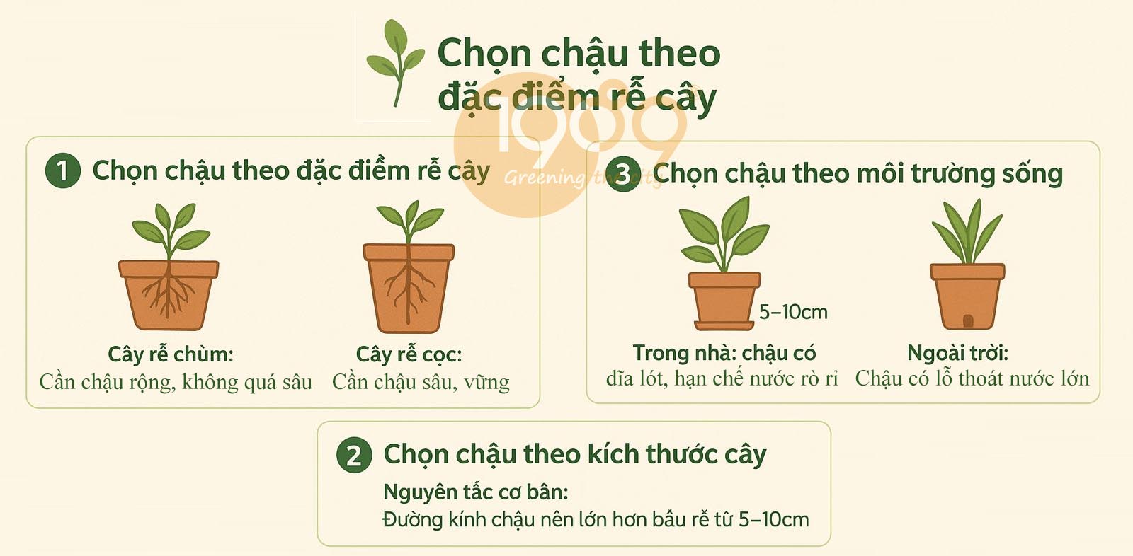 Chậu Trồng cây là gì - chậu trồng cây kích thước phù hợp