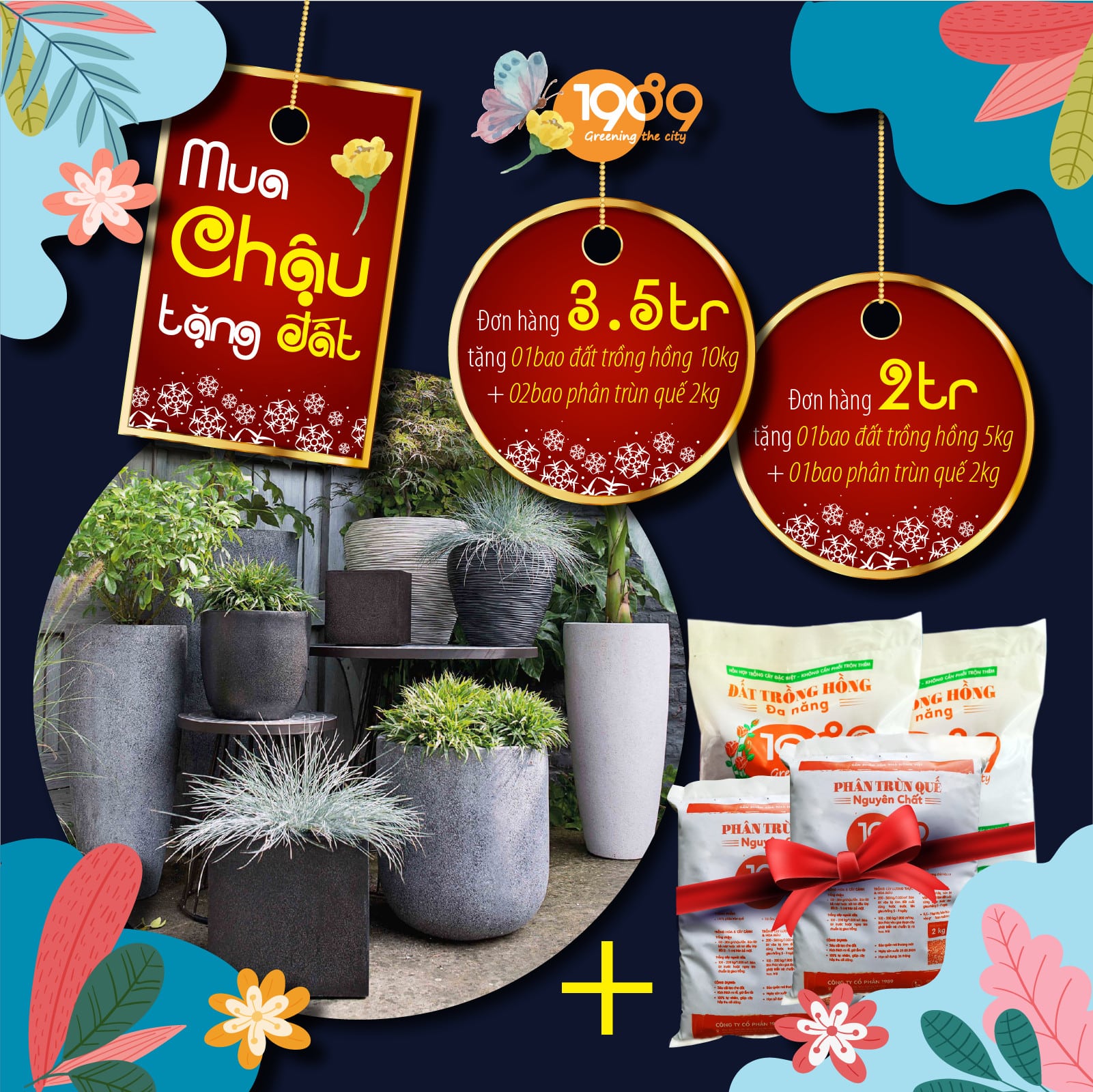 Chương Trình Cải Tạo Cây Sau Tết