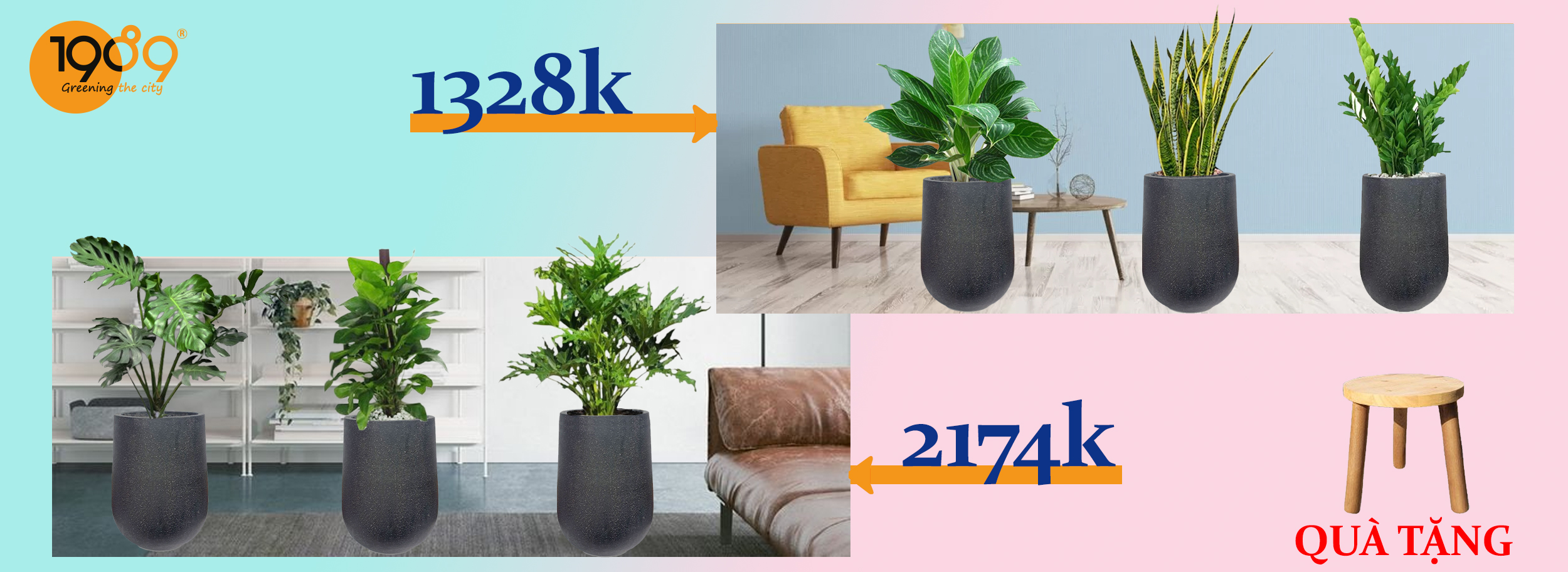 Top 5 Cây Để Sàn Đẹp Nhất Năm 2025: Gợi Ý Trang Trí Không Gian Sống Hiện Đại