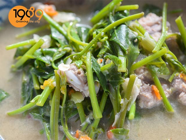 công dụng rau mồng tơi