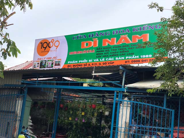 cua hang ban dat trong cay go vap di nam