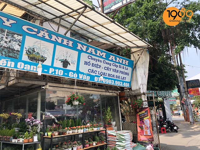 cửa hàng bán đất trồng cây gò vấp