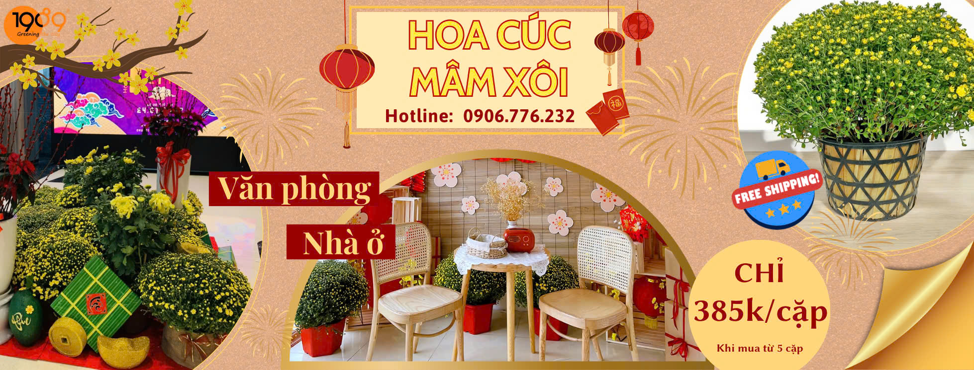 Hoa Cúc Mâm Xôi Vàng Trang Trí Tết