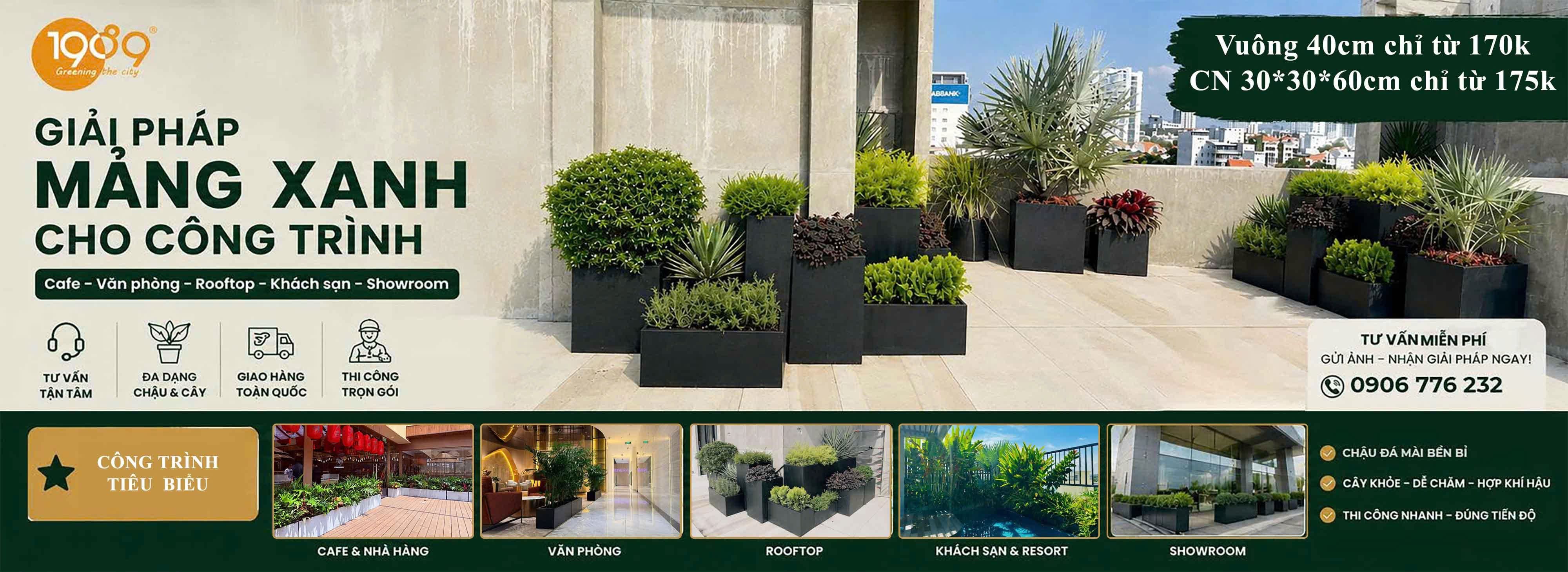 Chậu decor nghệ thuật – Xu hướng trang trí hiện đại cho nhà ở và văn phòng