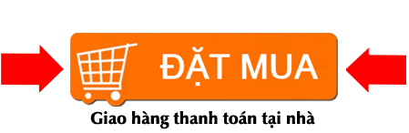 đặt mua cây cảnh hoa tết