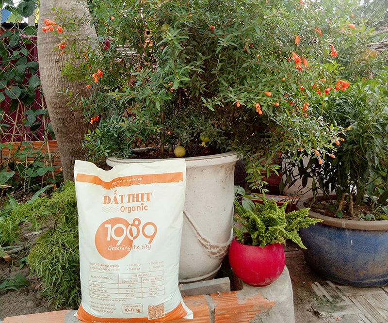 Đất Thịt 1989 nguồn gốc rõ ràng - chất lượng đảm bảo