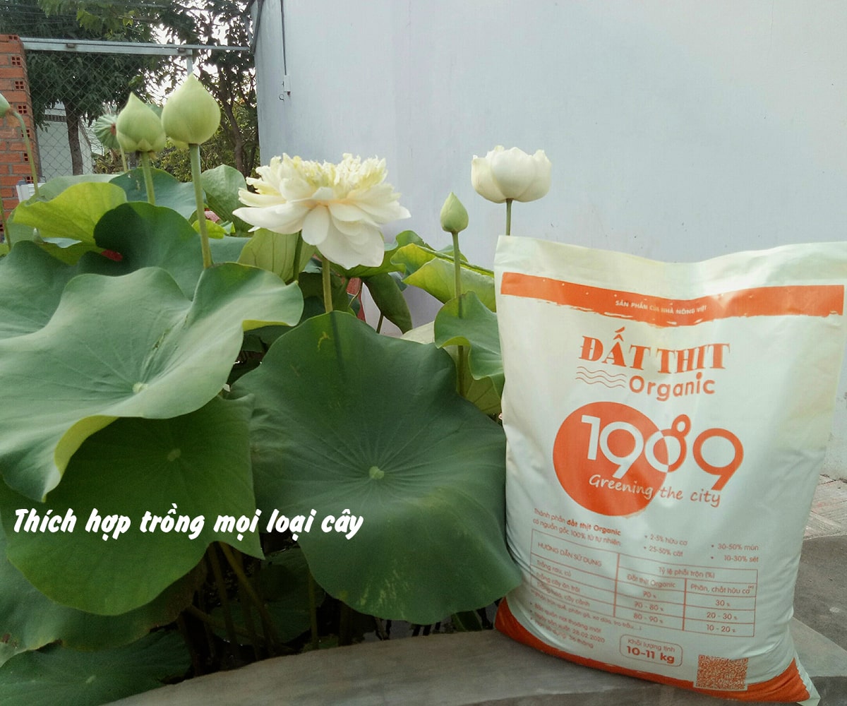 Đất Thịt 1989 thích hợp trồng mọi loại cây