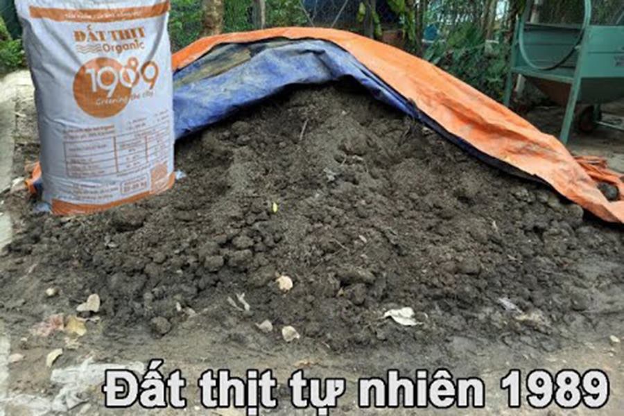 Đất Thịt Khối Tự Nhiên của 1989 JSC