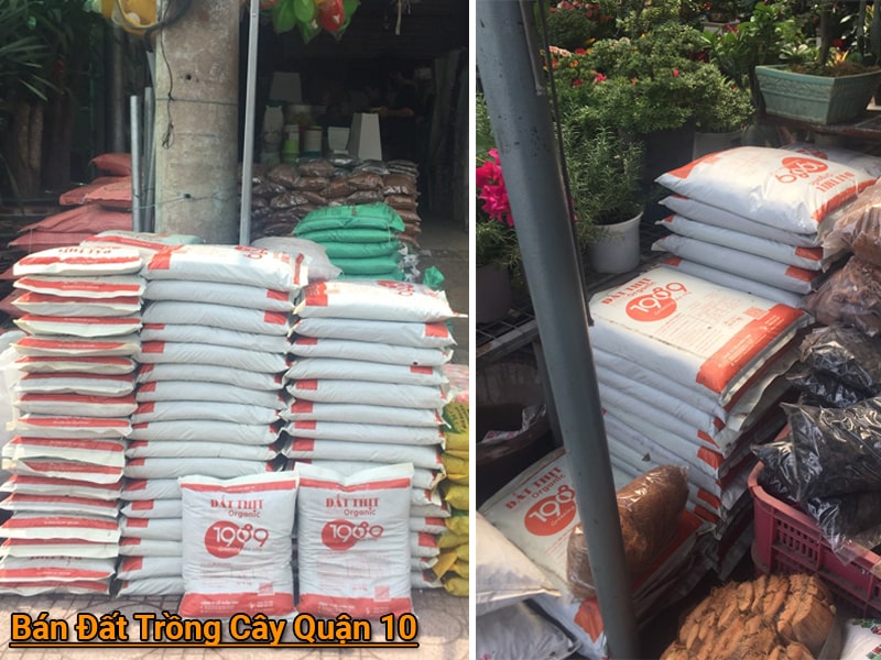 mua đất trồng cây ở tphcm