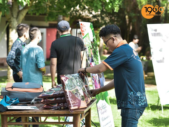 đất trồng cho cây trầu bà lá xẻ