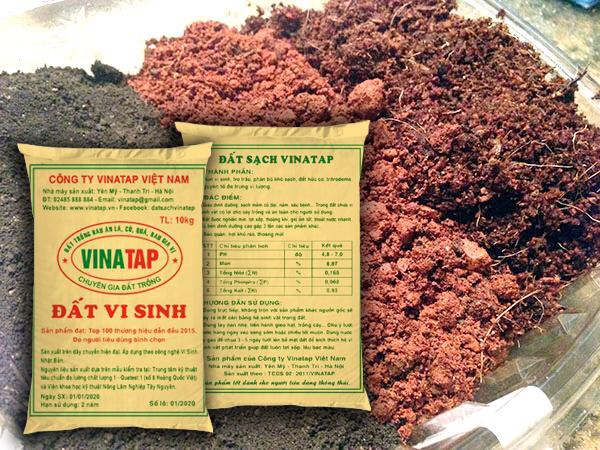 Top 7 Đơn Vị Bán Đất Tốt Trồng Rau Tại Sài Gòn