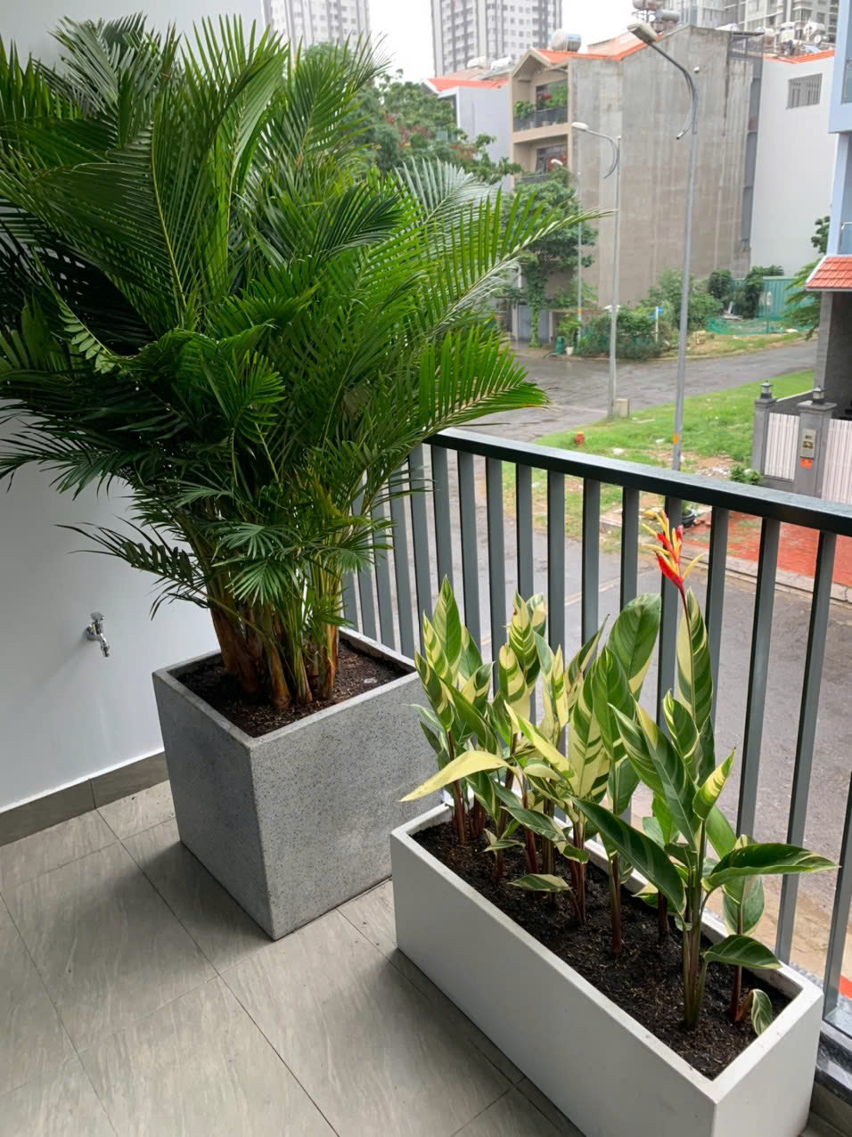 Chậu đá mài ban công: Bí kíp biến 20m² thành ốc đảo xanh sang trọng