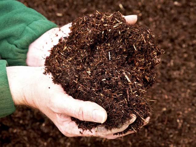 Địa chỉ mua bán đất trồng cây rau ở Tân Bình TPHCM kvia