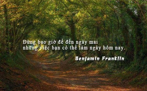 dịch vụ cho thuê cây cảnh cây nội thất đẹp châm ngôn