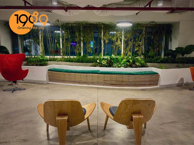 dịch vụ cho thuê thuê cây xanh văn phòng giao hàng tiết kiệm 2