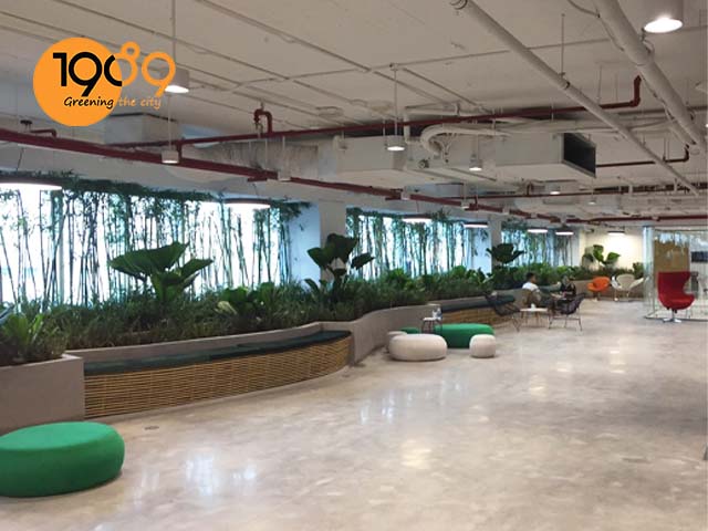 dịch vụ cho thuê thuê cây xanh văn phòng giao hàng tiết kiệm 5