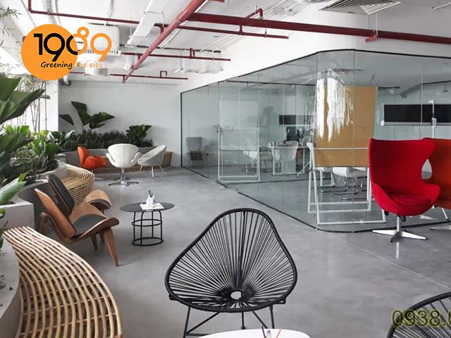 dịch vụ cho thuê thuê cây xanh văn phòng giao hàng tiết kiệm đơn giản