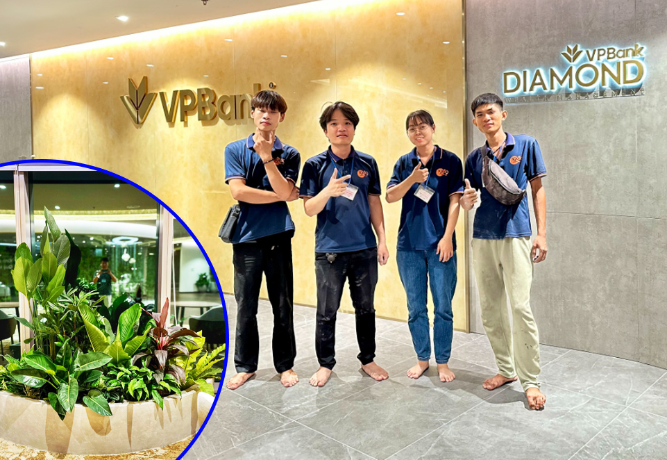 Khám Phá Lợi Ích Cây Xanh Văn Phòng: Bí Quyết Tăng Năng Suất Và Thịnh Vượng