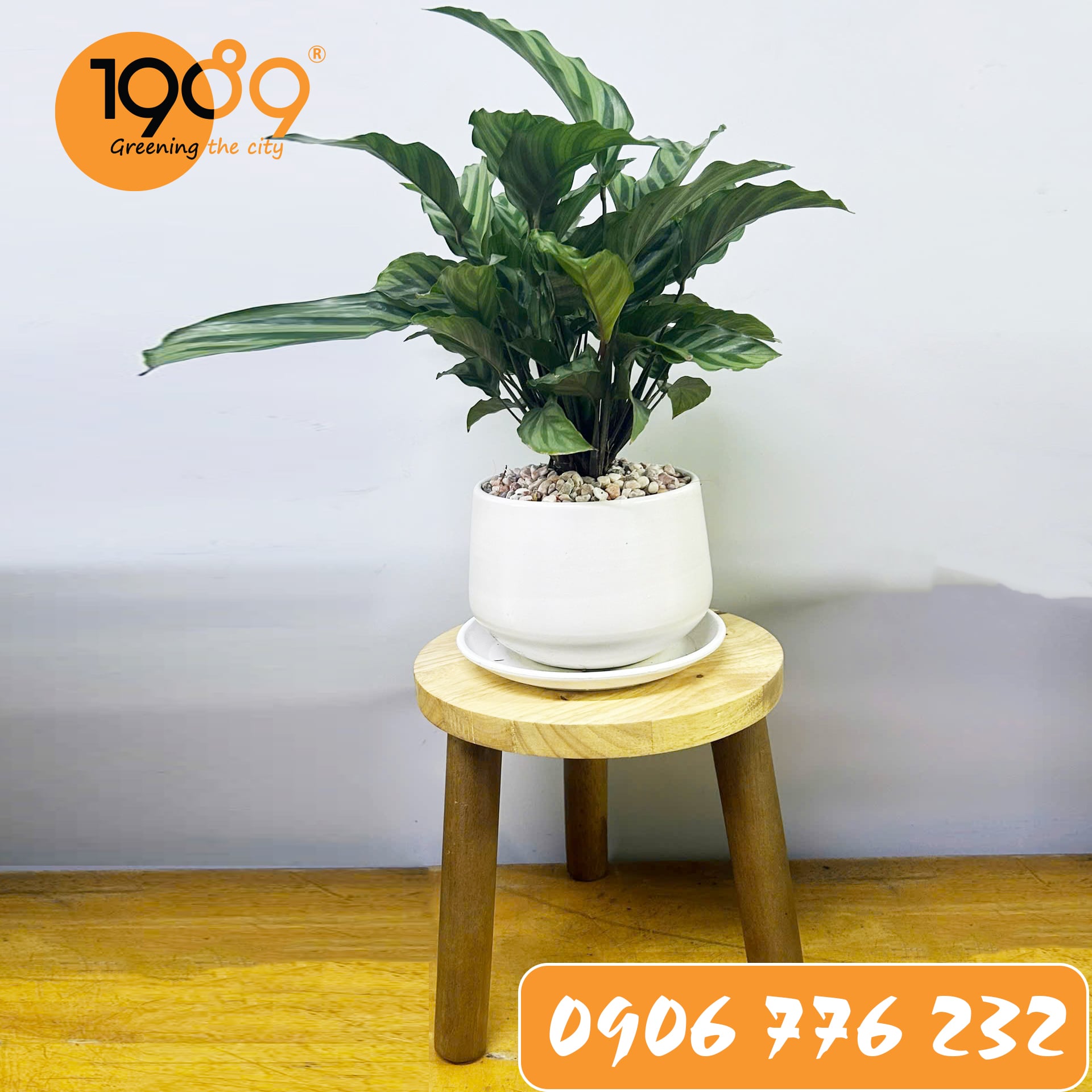 Đôn Gỗ Tròn 3 Chân