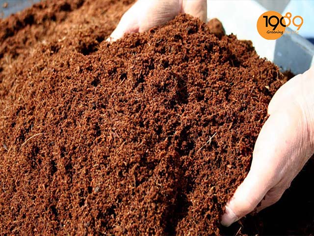 giá thể cây trồng